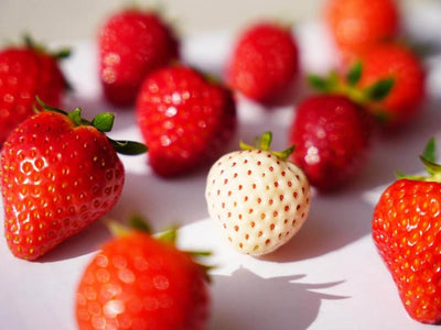 Japanese Strawberries: A Variety of Luxurious Sweet Fruit Treats
