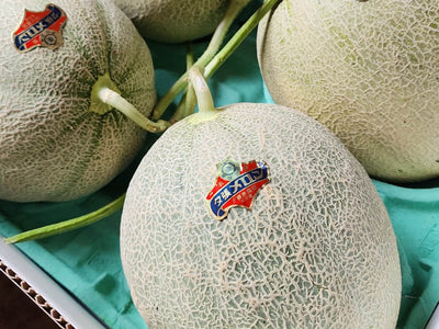 Yubari Melon: Hokkaido’s Tasty Melon King