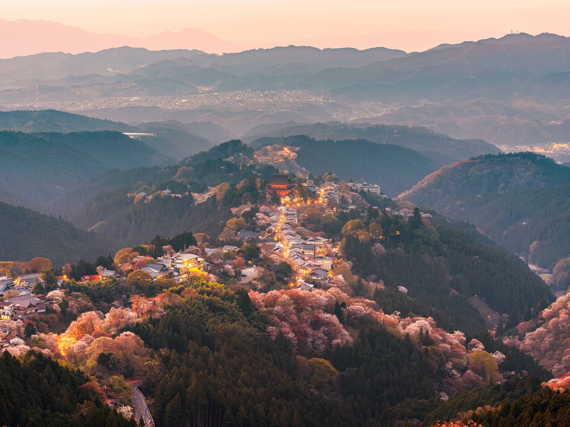 Hanami Spots in Japan To Make the Most of Sakura Season