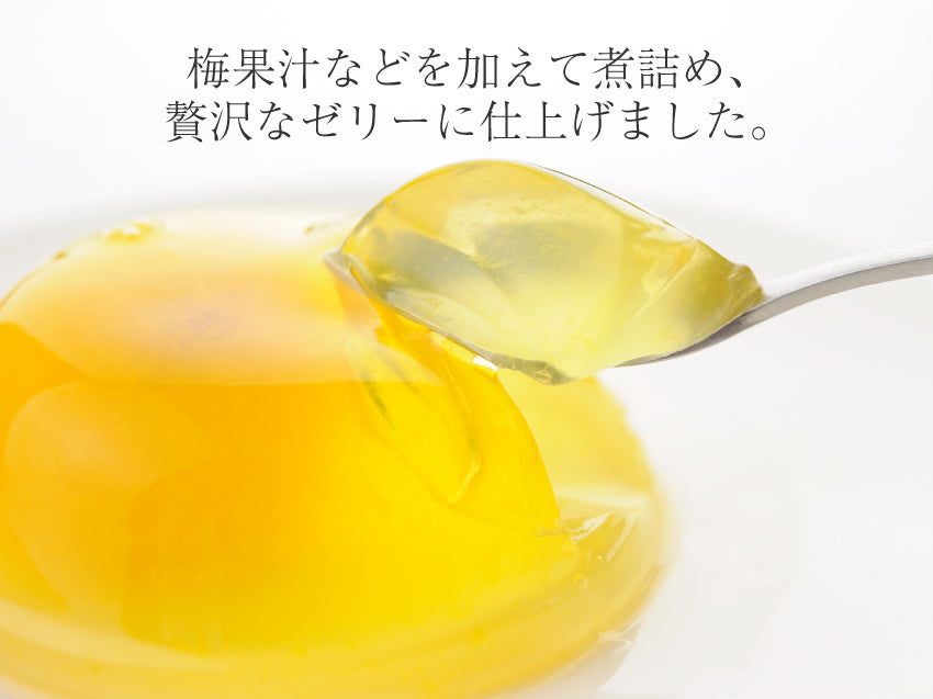 Godaian Kijuku Ume Jelly – Umesenka