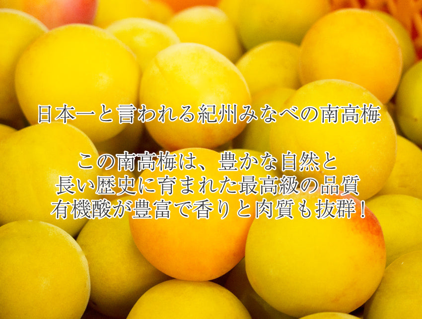 Godaian Kijuku Ume Jelly – Umesenka