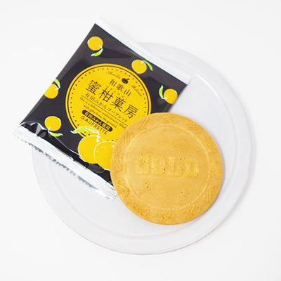 Okazaki Kihoan Wakayama Mikan Orange Gaufrette Cookies (9 Pieces)