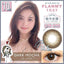 FLANMY Daily Disposable 14.5 mm Dark Mocha Color Contact Lenses 10 pcs