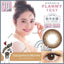 FLANMY Daily Disposable 14.5 mm Diameter Doughnut Brown Color Contact Lenses 10 pcs