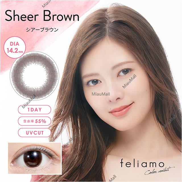 feliamo 쉬어 브라운 14.2mm 직경 1일용 일회용 컬러 콘택트 렌즈 10개 세트