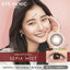 FOMOMY COCO Cocoa Amber Daily Disposable Color Contact Lenses