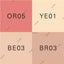 IPSA Designing Face Color Palette