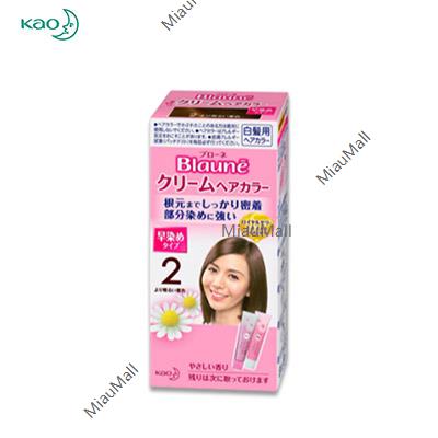 KAO Blaune Cream Hair Color