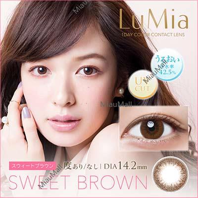 LuMia Daily Disposable Sweet Brown 14.2 mm Diameter Color Contact Lenses 10 pcs