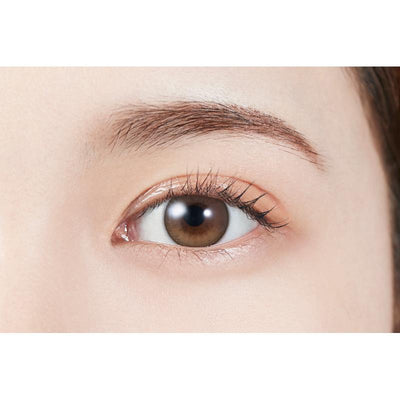 MOLAK Daily Disposable Dollish Brown Color Contact Lenses