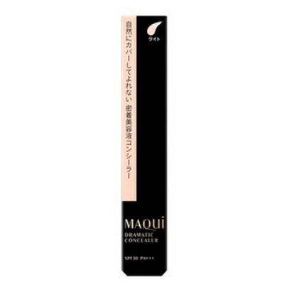 Shiseido Maquillage Dramatic Concealer