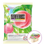 Mannanlife Konjac Field Konjac Jelly (Strawberry/White Peach/Coffee)