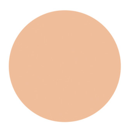 Shiseido D PROGRAM Powdery Foundation