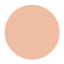Shiseido D PROGRAM Powdery Foundation