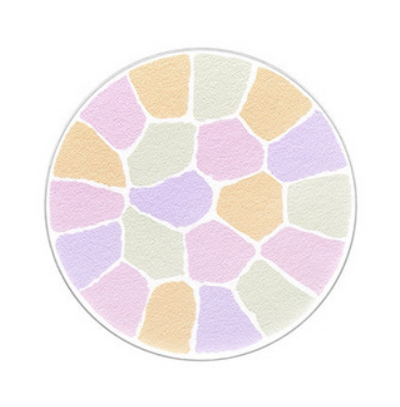 ALBION ELEGANCE La Poudre Haute Nuance Face Powder