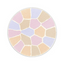 ALBION ELEGANCE La Poudre Haute Nuance Face Powder
