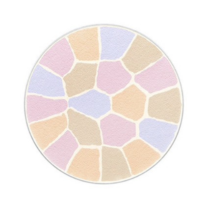 ALBION ELEGANCE La Poudre Haute Nuance Face Powder