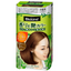 KAO Blaune Scented and Glossy Hair Color Cream
