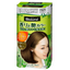 KAO Blaune Scented and Glossy Hair Color Cream