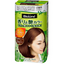 KAO Blaune Scented and Glossy Hair Color Cream