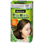 KAO Blaune Scented and Glossy Hair Color Cream