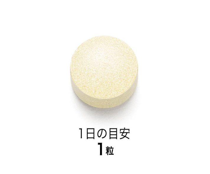 FANCL Stress Care (GABA Supplement)