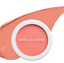 PREORDER BRILLIAGE Camouflage Concealer Cheek Blush