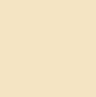 POLA Diem Couleur Color Trick Multi Cushion Foundation Refill