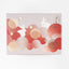 PREORDER Kyoto Bettei Kyo no Usagi Cake 5 Pieces / 10 Pieces