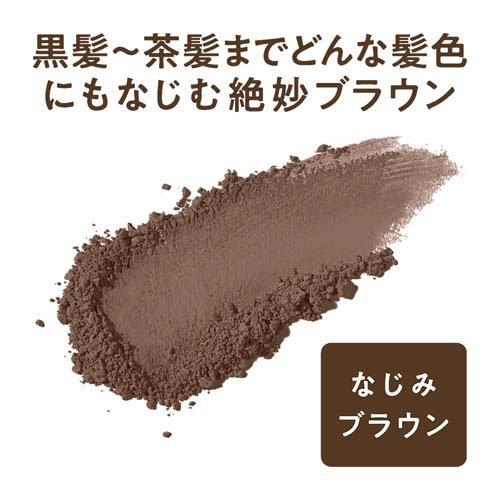CEZANNE Hair Makeup Powder