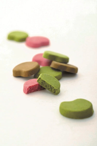 Kyo Echubo Chocolate Cookies (12 Pieces)