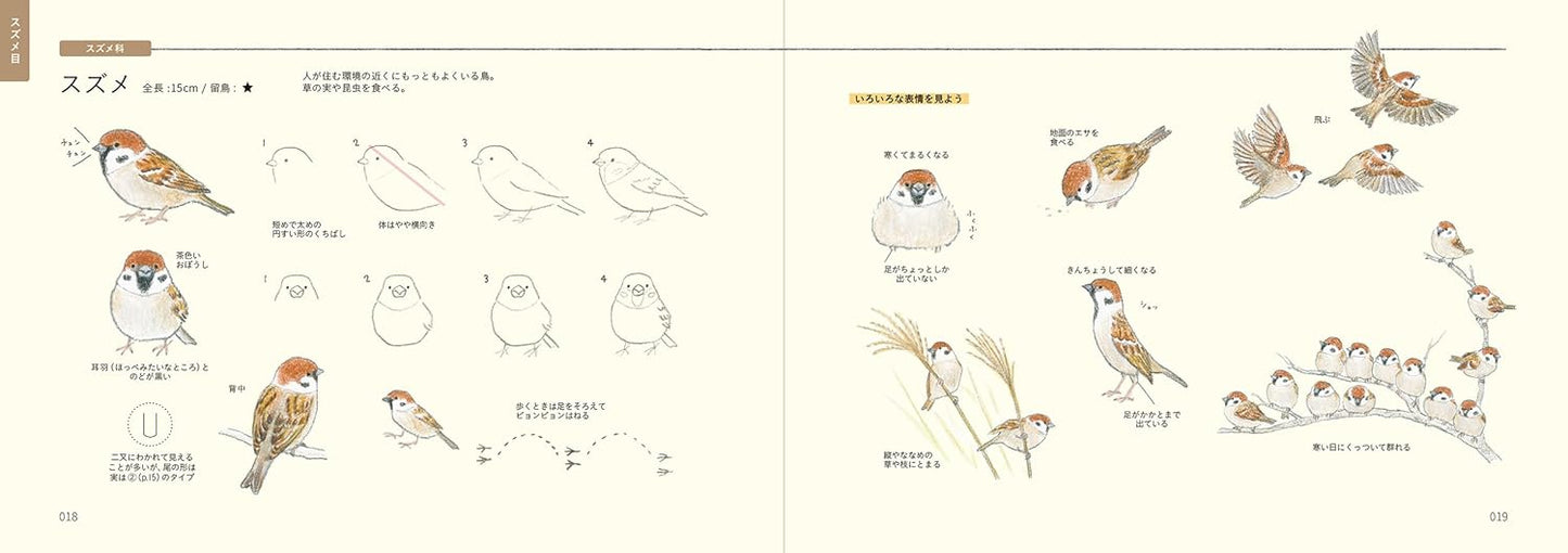 PREORDER  How to Draw Japan's Wild Birds: An Illustrated Guide