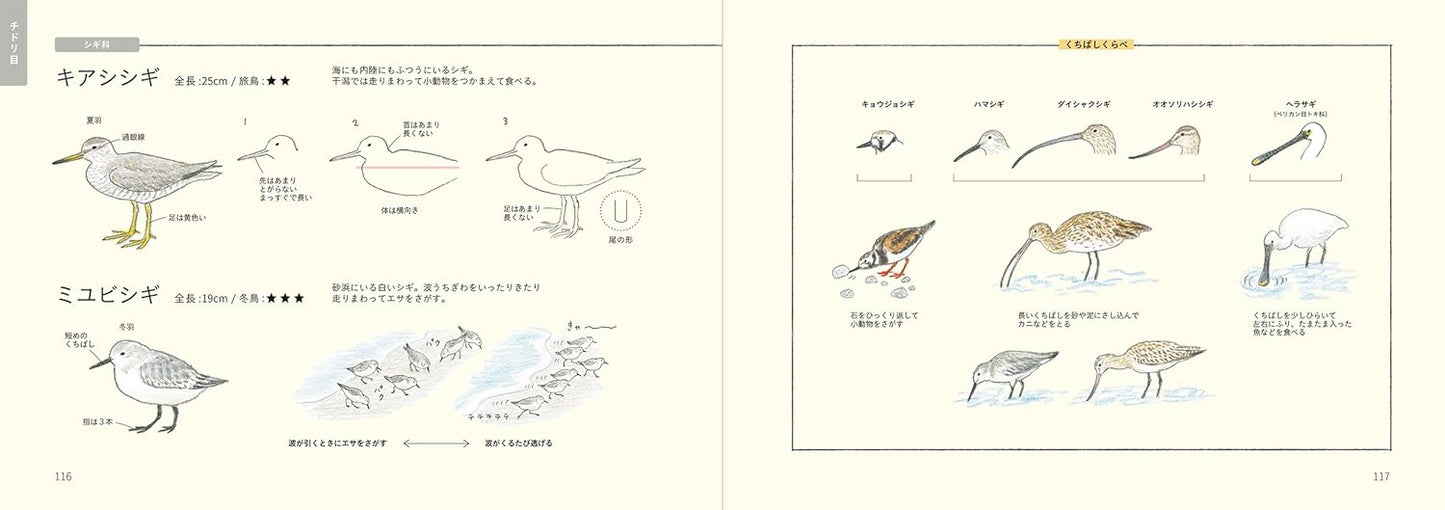 PREORDER  How to Draw Japan's Wild Birds: An Illustrated Guide