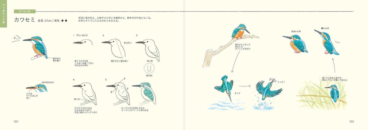 PREORDER  How to Draw Japan's Wild Birds: An Illustrated Guide