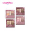 CANMAKE Perfect Stylist Eyes V