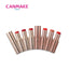 CANMAKE Melty Luminous Rouge Lip Tint