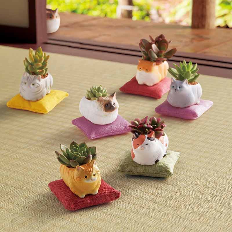 Mini Cat Planter (Assorted Designs Available)