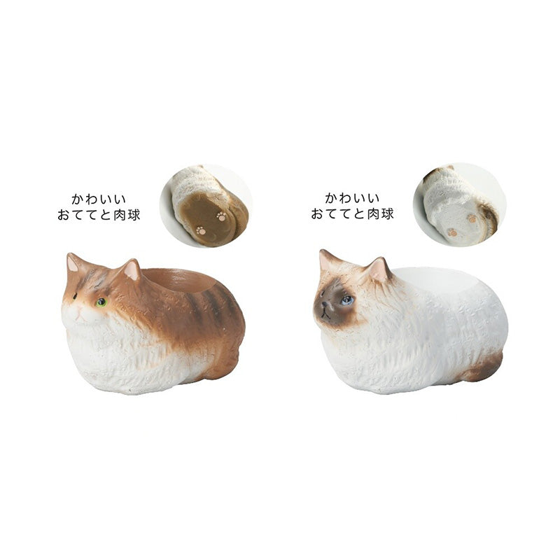 Mini Cat Planter (Assorted Designs Available)