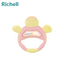 Richell Turtle Teether Toy