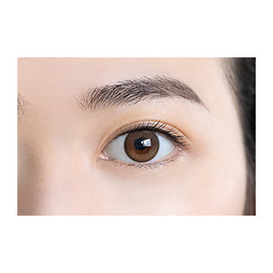 MOLAK Daily Disposable Dollish Brown Color Contact Lenses