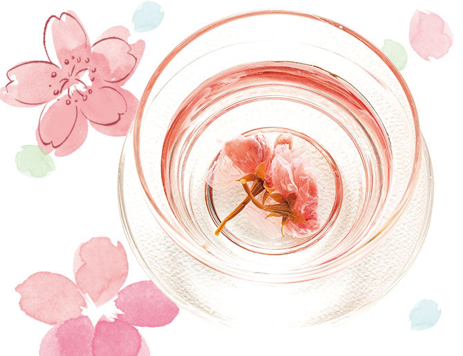 Kamakuragoro Honten Sakura Tea Half-Moon Cookies