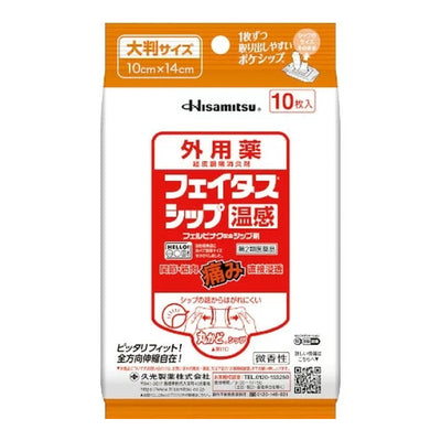 HISAMITSU Feitasship Warming Anti-Inflammatory and Pain Patches