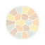 ALBION ELEGANCE La Poudre Haute Nuance Luxueuse Face Powder (I-VI)
