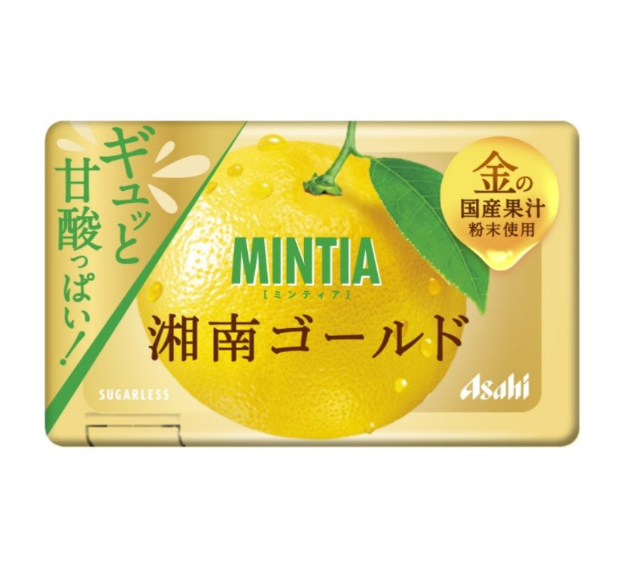 Mintia 湘南金币