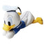 Disney Donald Duck Pen Case