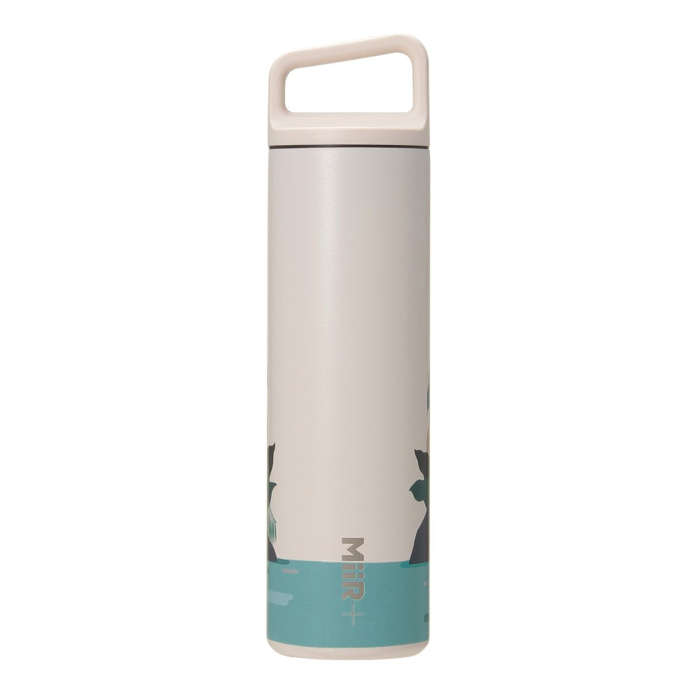 STARBUCKS Anniversary 2024 Handle Lid Stainless Steel Bottle