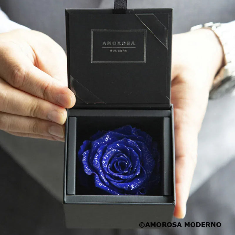 AMOROSA MODERNO Diamond Rose 85 [First Model] Excellent Blue