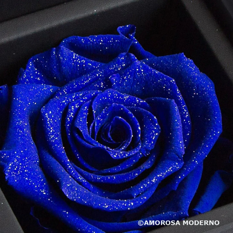 AMOROSA MODERNO Diamond Rose 85 [First Model] Excellent Blue