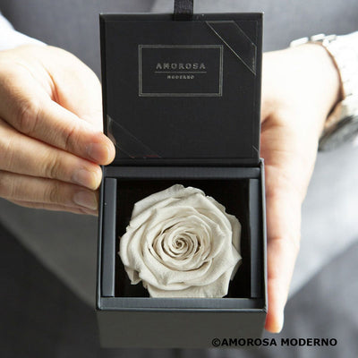 AMOROSA MODERNO Diamond Rose 85 [First Model] White