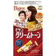 HOYU Bigen Cream Tone Gray Coverage Hair Color (Chestnut Brown)